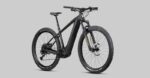 Radon Jealous Hybrid 9.0 625 – Bild 8