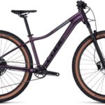 Cube Access WS SLX