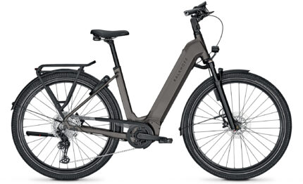 Kalkhoff Endeavour 5.B Advance+