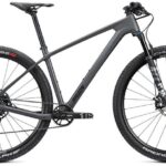 Radon Jealous 8.0