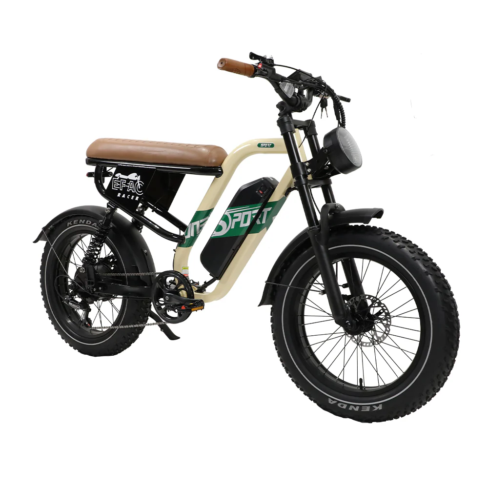 3_ba30e5f3-1356-4825-ac7d-37c81d13b933.webp VTT Électrique à Suspension Complète fafrees OneSport W66 500W 20" Fat Bike 648Wh – Bild 1