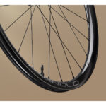 Paire de roues Campagnolo Levante DB - 28" | Carbone | 2-Way Fit | AFS - 12x100 mm | 12x142 mm - XDR – Image 2