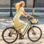 Fiido C700 Vélo Électrique Urbain – Image 3