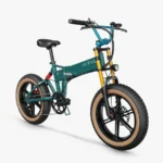 Fiido M1 Pro Vélo électrique Vtt Fatbike Cargo De Gros Pneus – Bild 2