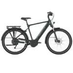 Vélo électrique Gazelle MEDEO T10 HMB Édition – Bild 3