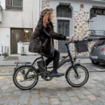 Vélo électrique Momentum Electric 2wenty – Bild 7