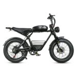 Vélo électrique SAMEBIKE M20 1000W
