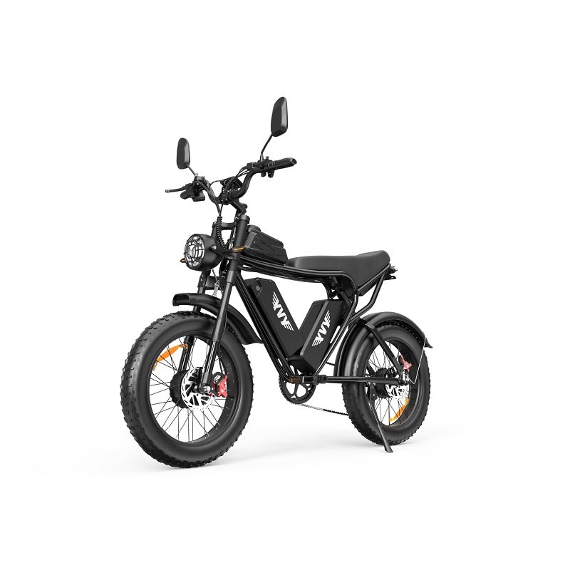 Velo-electrique-YVY-C20Pro-2000W.jpg Vélo électrique YVY C20Pro 2000W à gros pneus à double moteur – Image 1