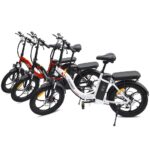 Vélo électrique Pliant Fafrees F20 250W 20" Vélo de Ville 16Ah Batterie – Bild 9