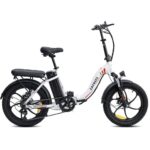 Vélo électrique Pliant Fafrees F20 250W 20" Vélo de Ville 16Ah Batterie – Bild 15