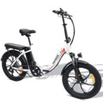 Vélo électrique Pliant Fafrees F20 250W 20" Vélo de Ville 16Ah Batterie – Bild 11