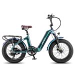 Fafrees F20 Master 500W 20" Fat Bike VTC électrique en Fibre de Carbone 22.5Ah Batterie Samsung – Bild 15