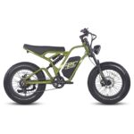 FAFREES F20 ULTRA 750W 20" Fat Bike E-Mountain Bike 48V 25Ah LG Batterie E-MTB – Image 4