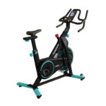 Active BIKE 300 Smart